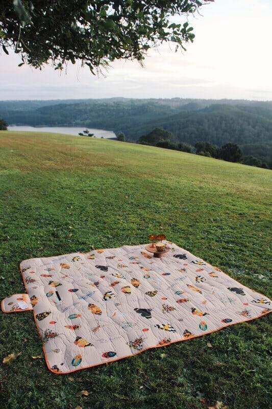 large picnic rug butterflies