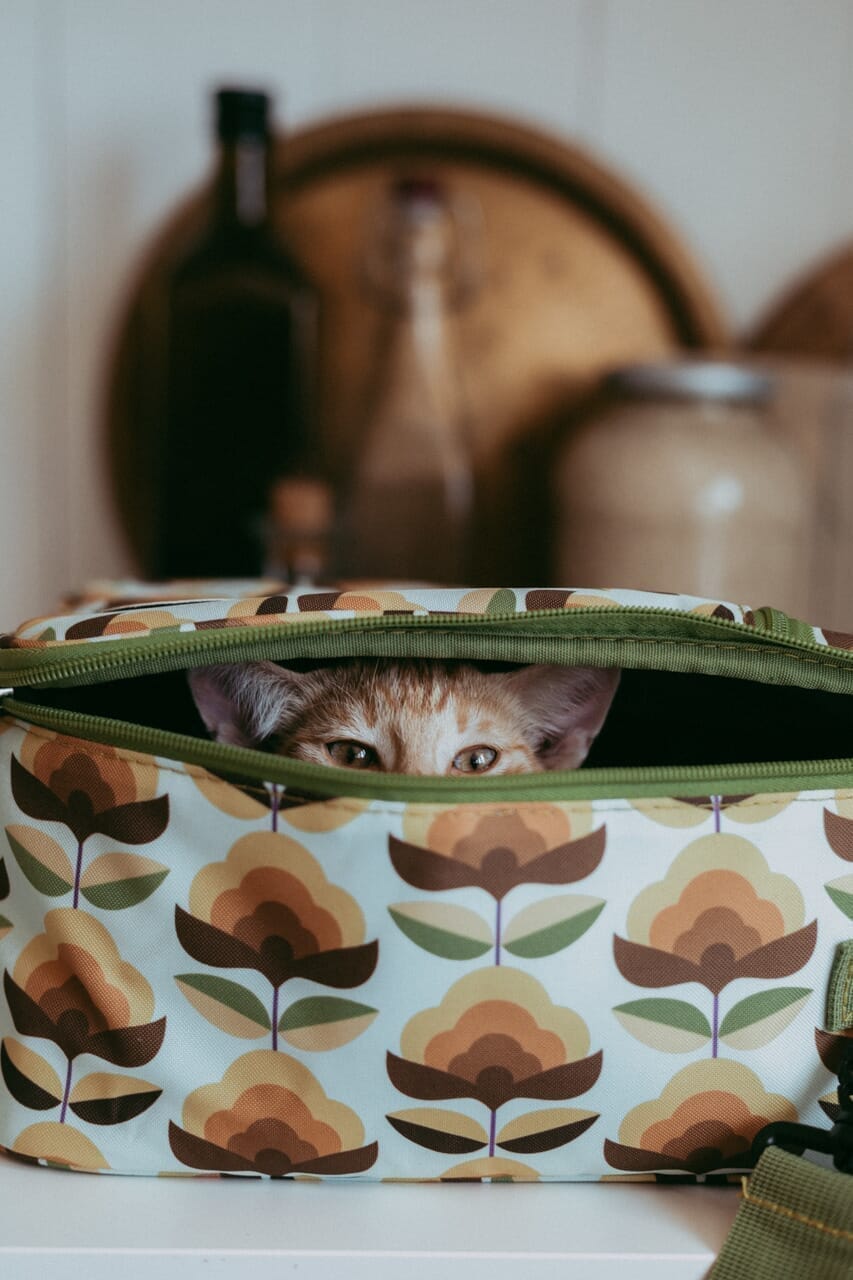 green insulated lunch bag for adults