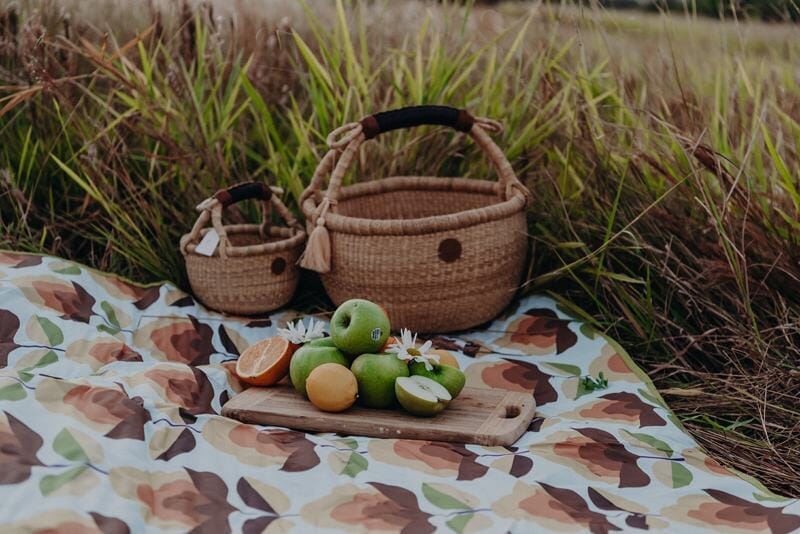 picnic blanket and basket