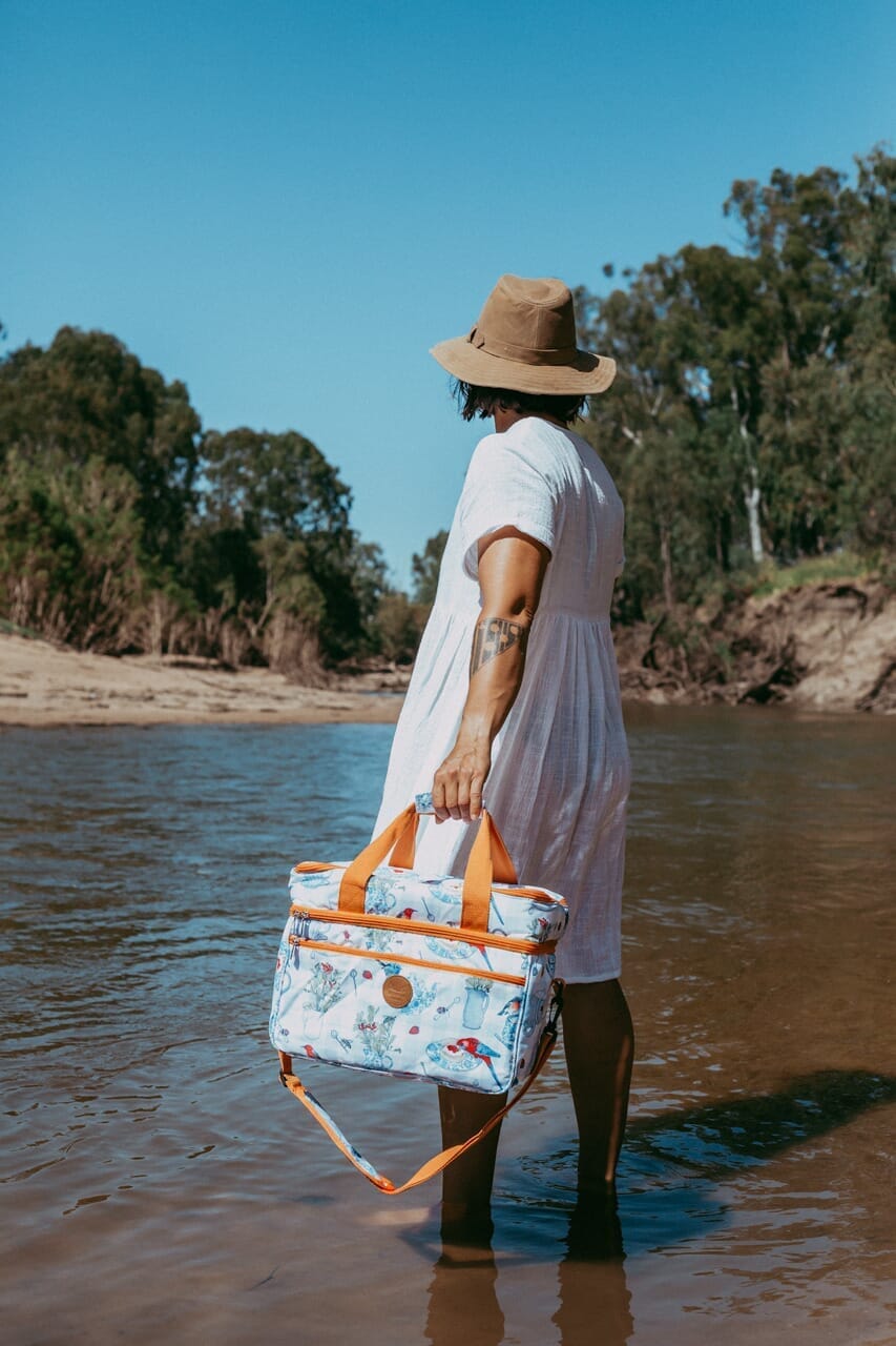 picnic cooler bag