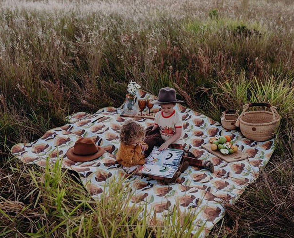 picnic blanket