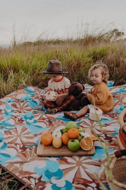 blue picnic rug