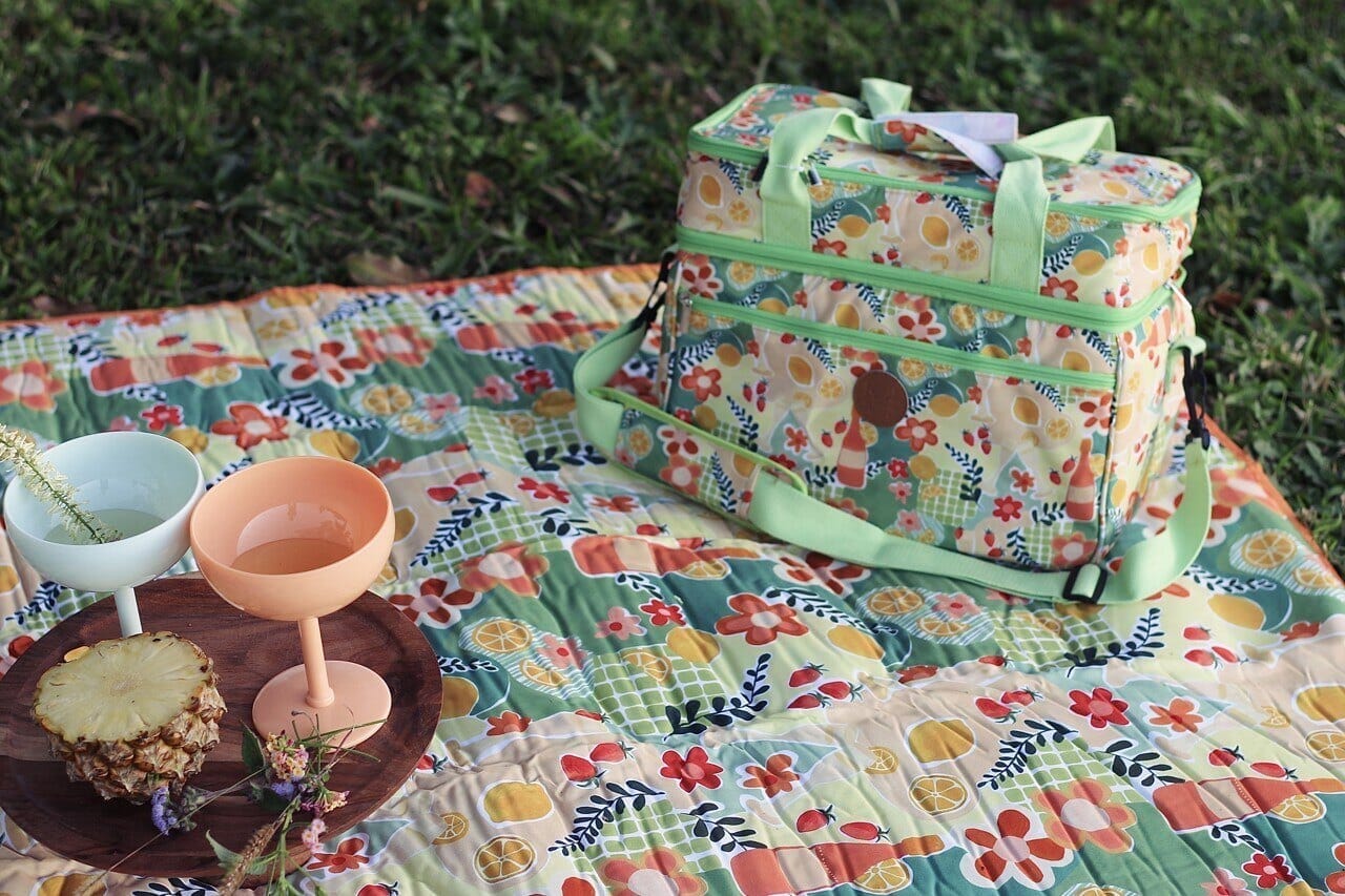 picnic rug and cooler bag