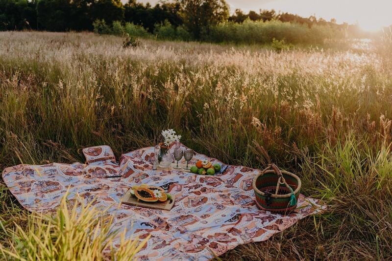 beautiful picnic blanket