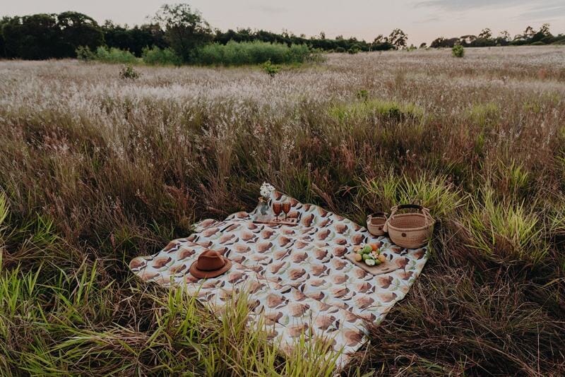 picnic rug