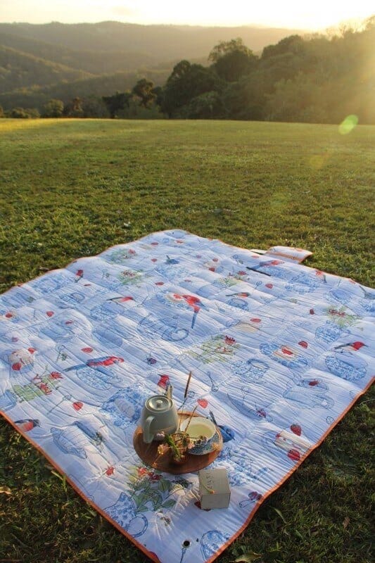 picnic rug on grass